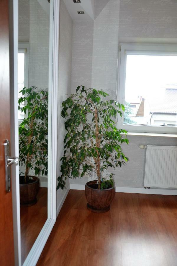 Tarnow Dom / Apartament W Centrum Kültér fotó